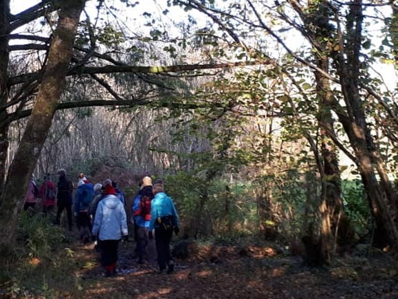 5.Parc Glynllifon
22/11/18. In dappled sunlight. Photo: Judith Thomas.
Keywords: Nov18 Thursday Miriam Heald