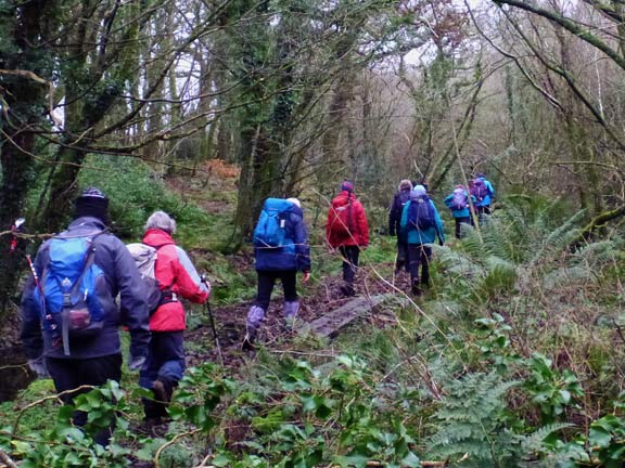 5.Sailors Path
30/12/18. Walking through Coed Nant-ffrancon
Keywords: Dec18 Sunday Judith Thomas