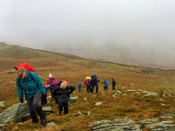 2.Northern Rhinogydd
4/11/18. Slogging up to the summit of Moel Ysgarfarnogod.
Keywords: Nov18 Sunday Roy Milnes