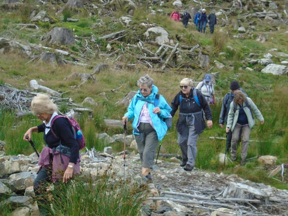 4.Bwlch y Ddwy Elor
15/8/19. Descending from Bwlch Cwm Trwsgl to the Beddgelert Forest. Photo: Dafydd Williams.
Keywords: Aug19 Thursday Dafydd Williams