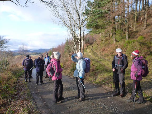 3.Betws-y-Coed - Llyn Sarnau
1/12/19. On our way from Llyn y Sarnau where we had lunch. Not far from the white house Coedmawr where we joined the Pen yr Allt Trail Walk westwards back to Betws-y-Coed. A trail marked with a white footprint on a blue background.
Keywords: Dec19 Sunday Dafydd Williams