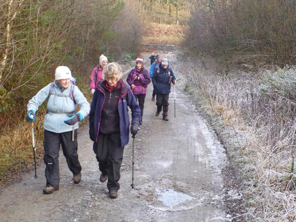 4.Betws-y-Coed - Llyn Sarnau
1/12/19. Close to Llyn Pencraig on the Pen yr Allt Trail. 
Keywords: Dec19 Sunday Dafydd Williams