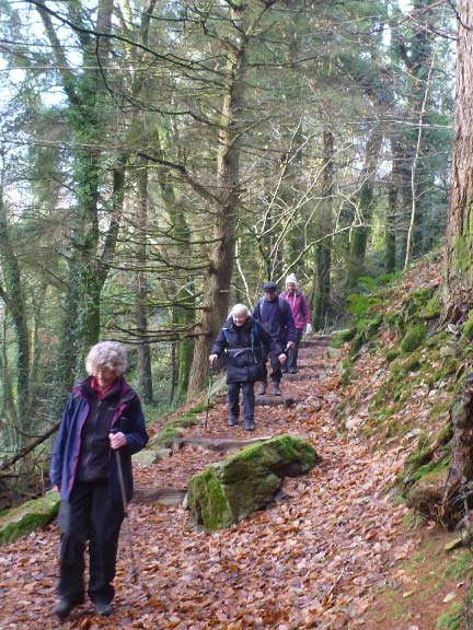 6.Betws-y-Coed - Llyn Sarnau
1/12/19. In Coed Diosgydd. Walking above and parallel to Afon Llygwy, and making for the Miners' Bridge. 
Keywords: Dec19 Sunday Dafydd Williams