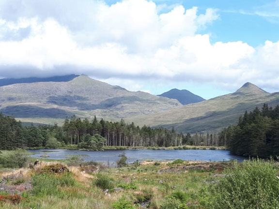 5.Bwlch y Ddwy Elor
15/8/19. Llyn Llewelyn. Looking east towards Snowdon on the left and Yr Aran on the right. Photo: Judith Thomas
Keywords: Aug19 Thursday Dafydd Williams