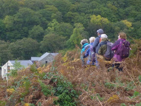 6.Aber Falls / Carneddau
20/10/19. The final approach to Abergwyngregyn.
Keywords: Oct19 Sunday Jean Norton Annie Michael
