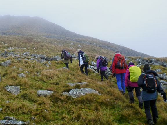 3.Clynnog Hills
17/11/19. Ascending the south side of Gyrn Ddu close to the summit. We bypassed the summit and made for the summit of Gyrn Goch.
Keywords: Nov19 Sunday Noel Davey