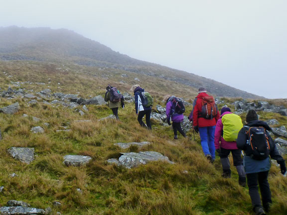 3.Clynnog Hills
17/11/19. Ascending the south side of Gyrn Ddu close to the summit. We bypassed the summit and made for the summit of Gyrn Goch.
Keywords: Nov19 Sunday Noel Davey