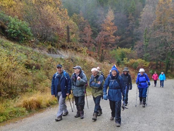 2.Coed y Brenin
7/11/19. Steady waling pace. Photo: Dafydd Williams.
Keywords: Nov19 Thursday Nick White