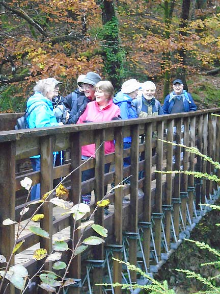 3.Coed y Brenin
7/11/19. Crossing one of the numerous bridges on the walk. Photo: Dafydd Williams.
Keywords: Nov19 Thursday Nick White