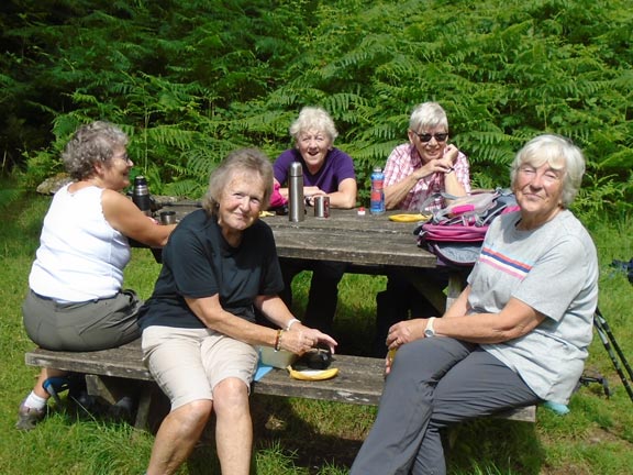 1.Beddgelert - Cwm Bychan
1/8/19. A picnic spot close to Nantmor. Photo: Dafydd Williams
Keywords: Aug19 Thursday Maureen Evans