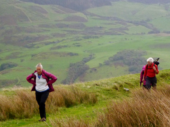 3.Dyffryn Dysynni 'A' walk
6/10/19. The steep ascent up from the valley bottom near Mynydd Pen-Rhiw.
Keywords: Oct19 Sunday Hugh Evans