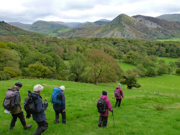 5.Dyffryn Dysynni 'A' walk
6/10/19.  Lower down from the previous photograph. A view across to Bird's Rock (Craig yr Aderyn) which is on our list a a place to visit during the walk.
Keywords: Oct19 Sunday Hugh Evans