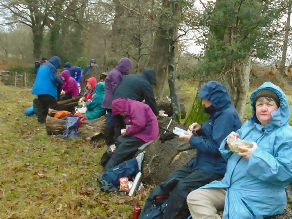 2.Llanystumdwy circuit
5/12/19. Lunch in the rain. Photo: Dafydd Williams.
Keywords: Dec19 Thursday Kath Spencer