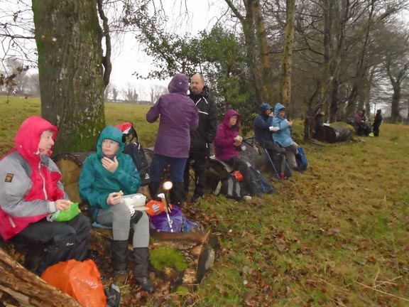 3.Llanystumdwy circuit
5/12/19. Lunch in the rain. Photo: Dafydd Williams.
Keywords: Dec19 Thursday Kath Spencer