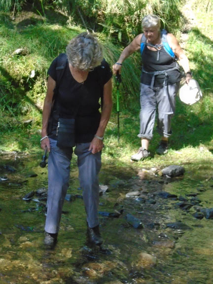 1.Mallwyd
25/8/19. Crossing one of several fords near the beginning of the walk.  Photo: Dafydd Williams.
Keywords: Aug19 Sunday Dafydd Williams