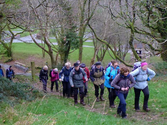 2.Moel y Gest
29/12/19. Starting our ascent of Moel y Gest as we leave Tyddyn Llwyn Holiday Park.
Keywords: Dec19 Sunday Judith Thomas