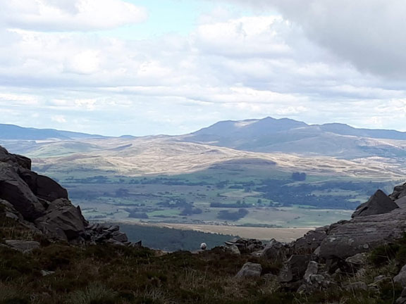 3.Rhinog Fawr
8/9/19. Looking out over to Aran Fawddwy and Aran Benllyn from the top of the Roman Steps path. Photo: Judith Thomas.
Keywords: Sep19 Sunday Noel Davey