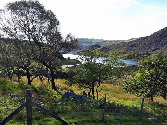 6.Rhinog Fawr
8/9/19. Picture of Llyn Cwm Bychan taken from the path, very close the end of the walk. Photo: Judith Thomas.
Keywords: Sep19 Sunday Noel Davey