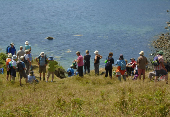 2.Mynydd Rhiw
4/7/19. Photo: Dafydd Williams.
Keywords: Jul19 Thursday Lis Williams