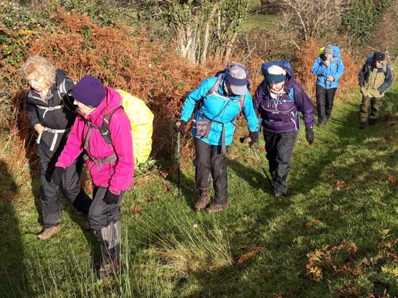 5.Pwllheli/Abererch Hinterland
15/1120. Near Penmaen Farm. Photo Eryl Thomas.
Keywords: Nov20 Sunday Ann Jones Meri Evans