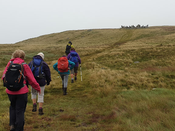 3.Moel Goedog-Bryn Cader Faner, bronze age trail
13/9/20. Bryn Cader Faner in sight.
Keywords: Sep20 Sunday Derek Cosslett