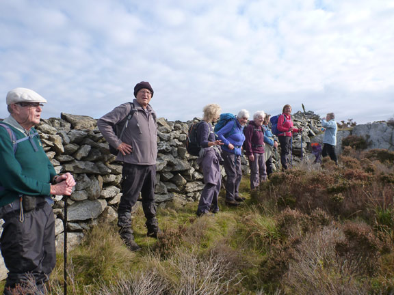 5.Garndolbenmaen Circular
18/10/20. The most northerly part of the walk. We follow this wall East over very uneven ground for just under half a mile.
Keywords: Oct20 Sunday Kath Spencer