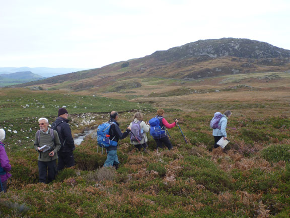 6.Garndolbenmaen Circular
18/10/20. Most of us proceeding South with Craig-y-Garn in the background.
Keywords: Oct20 Sunday Kath Spencer