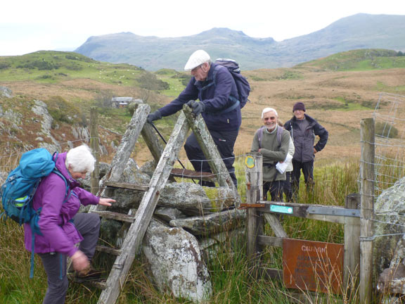 8.Garndolbenmaen Circular
18/10/20. Below Braich Garw and onward back to Garndolbenmaen. Moel Hebog, Moel yr Ogof and Moel Lefn in the background.
Keywords: Oct20 Sunday Kath Spencer