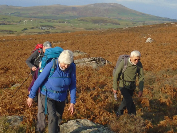 4.Garndolbenmaen Circular
18/10/20. Approaching Llwyd Mawr, The ground is very uneven. Bwlch Mawr, Moel Bromiod, Gyrn Goch and Gyrn Ddu in the background. Photo: Dafydd Williams.
Keywords: Oct20 Sunday Kath Spencer