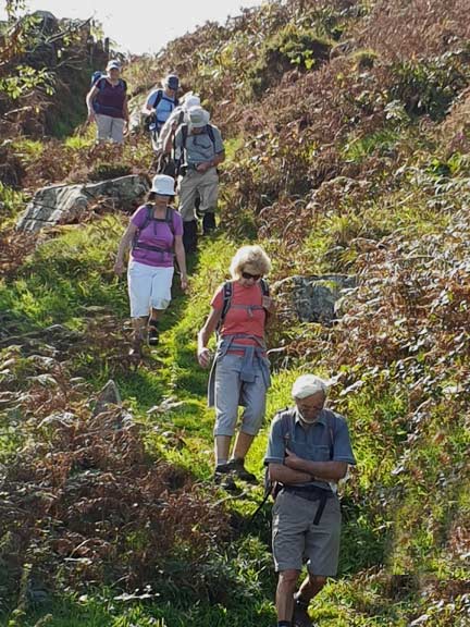 5.Mount Pleasant - Bryn Glas Road Circuit
20/9/20. Coming down from Carreglefain (Echo Mountain) 
Keywords: Sep20 Sunday Hugh Evans