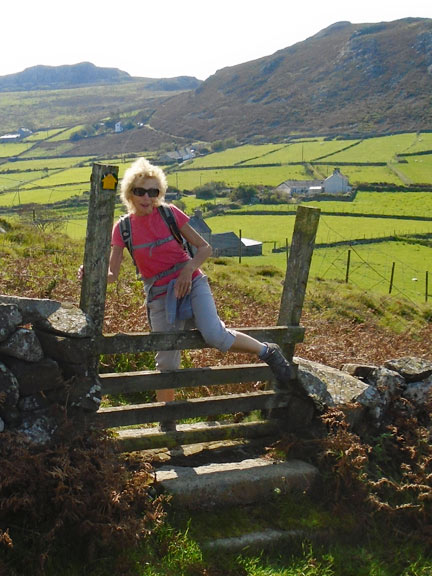 6.Mount Pleasant - Bryn Glas Road Circuit
20/9/20. Crossing into quite a rough area on the side of Moel Ty-gwyn, with Carreglefain which we had passed a short while ago, in the background on the right.  Photo: Dafydd Williams.
Keywords: Sep20 Sunday Hugh Evans