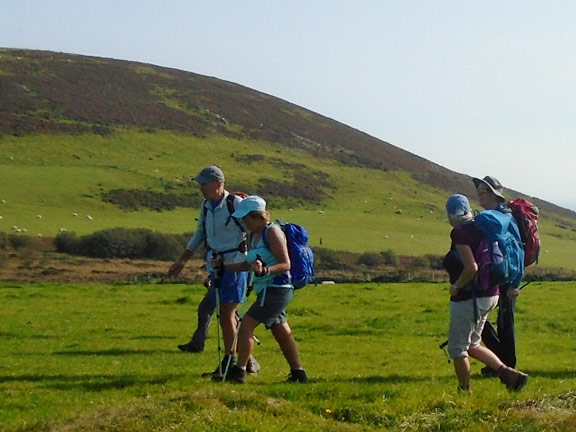 7.Mount Pleasant - Bryn Glas Road Circuit
20/9/20. Striding forth in a NE direction close to Tan-y-Foel, with just over a mile to go to the end of the walk. Photo: Dafydd Williams.
Keywords: Sep20 Sunday Hugh Evans