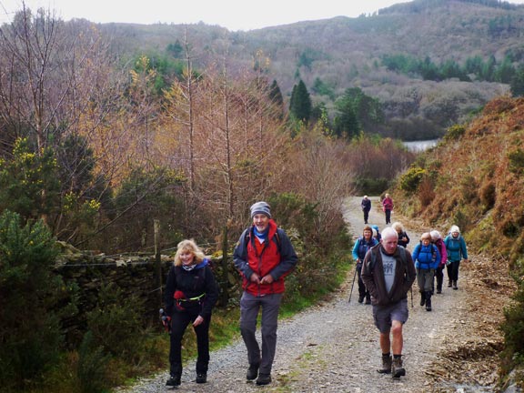 4.Dyffryn Maentwrog
22/11/20. Lunch over we have passed Llyn Mair and heading into Coed Ty-coch.
Keywords: Nov20 Sunday Hugh Evans