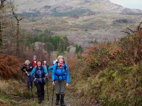 5.Dyffryn Maentwrog
22/11/20. another incline; probably the steepest of the walk; on the approach path to Y Gysgfa. Moelwyn Bach is in the background. No heavy breathing heard.
Keywords: Nov20 Sunday Hugh Evans