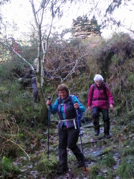 6.Dyffryn Maentwrog
22/11/20. The decent of Y Gysgfa starts. The stone structure marking the summit can be seen, top right of the photograph. 
Keywords: Nov20 Sunday Hugh Evans