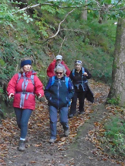 2.Moel y Ci
1/10/20. Emerging from the woods at the foot of Moel y Ci. Photo: Dafydd Williams.
Keywords: Oct20 Thursday Sue Tovey