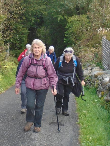 5.Moel y Ci
1/10/20. A determined catchup. Photo: Dafydd Williams.
Keywords: Oct20 Thursday Sue Tovey