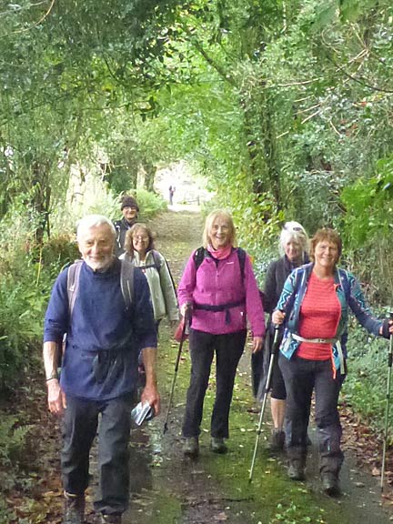 8.Criccieth to Pont Dolbenmaen
4/10/20. Walking through an avenue of trees near cefn-y-maen.
Keywords: Oct20 Sunday Dafydd Williams