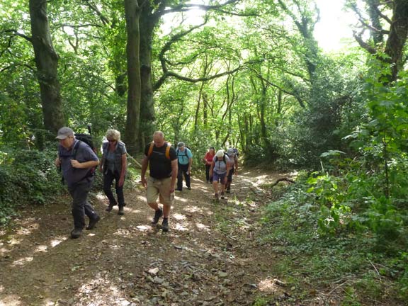 4. Bangor City Circuit
5/9/21. Making our way up from the large roundabout close to Tesco Bangor towards our lunch, a few yards further on, and then Ysbyty Gwynedd.
Keywords: Sep21 Sunday Gareth Hughes