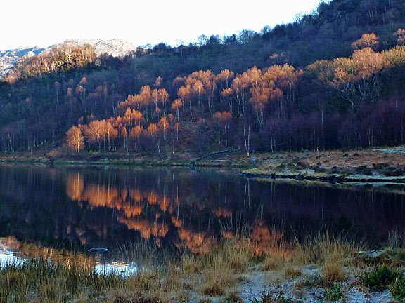 5.Bethania-Moel y Dyniewyd - Llyn Dinas
19/12/21. Down to a still Llyn Dinas, which was giving perfect reflections of the surrounding mountains. We walked northwards along Llyn Dinas until we reached our starting point at Bethania.
Keywords: Dec21 Sunday Gareth Hughes