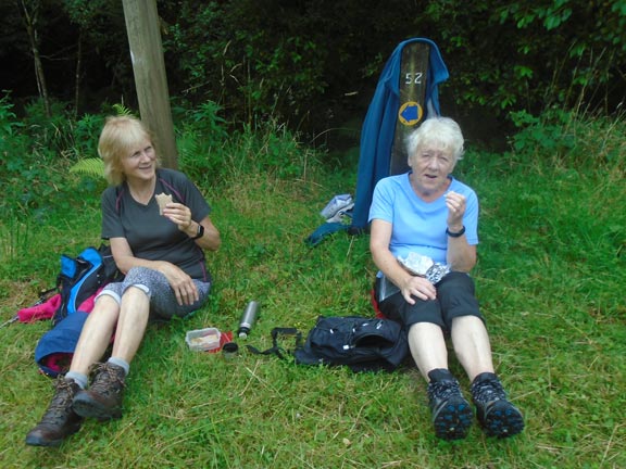 6.Snowdon foothills & Beddgelert Forest
26/08/21. Lunch in the Beddgelert forest. Photo: Dafydd Williams.
Keywords: Aug21 Thursday Dafydd Williams