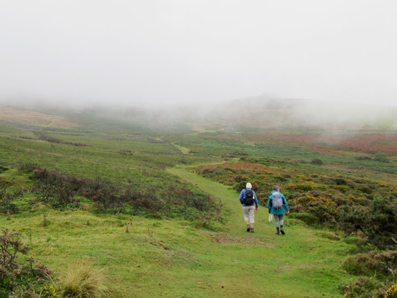 2.Mynydd Carnguwch Circuit
12/9/21 Caergribin in the background in the mist. Photo: Julia Miflin
Keywords: Sep21 Thursday Kath Mair