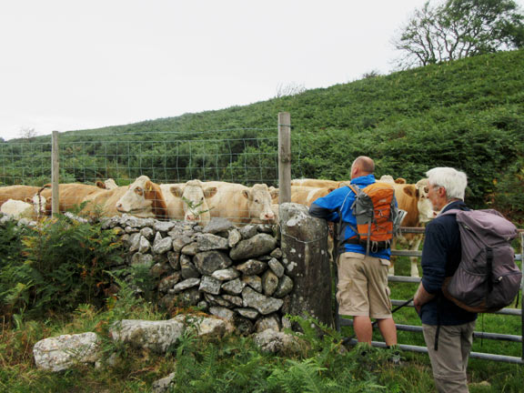 3.Mynydd Carnguwch Circuit
12/9/21 A couple of virtual farmers assessing the stock. Photo: Julia Miflin
Keywords: Sep21 Thursday Kath Mair