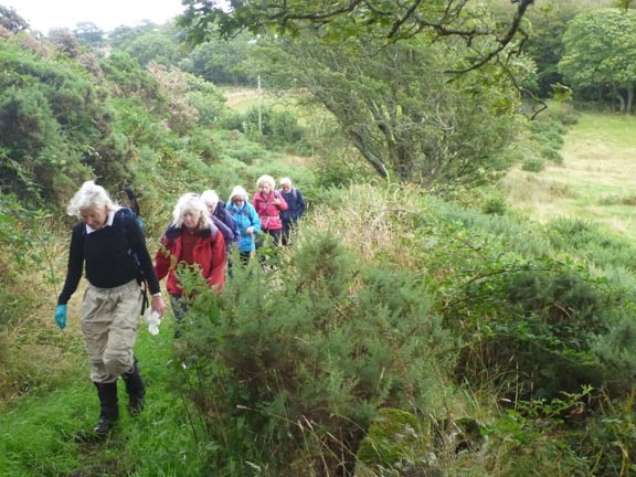 2.Mynytho-Garn Fadryn
8/8/21. On the Mariners' Path near Saethon Bach farm.
Keywords: Aug21 Sunday Annie Michael Jean Norton
