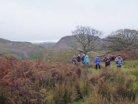 3.Garreg Llanfrothen Circular
18/11/21. Not far beyond Ty'n-ddol. Our coffee/tea break behind us.
Keywords: Nov21 Thursday Dafydd Williams