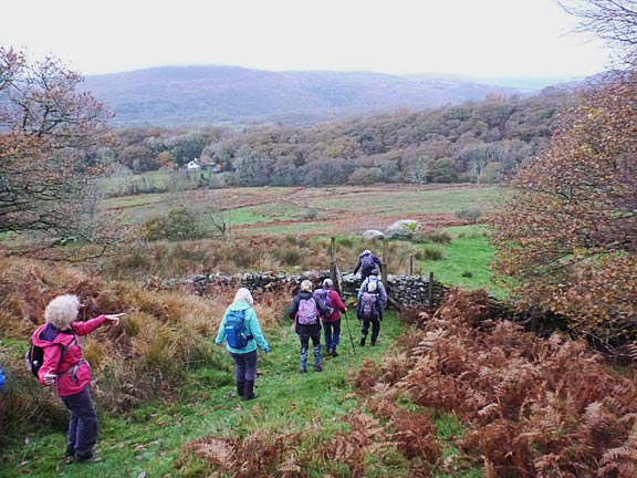 5.Garreg Llanfrothen Circular
18/11/21. Lunch over and a substantial style ahead. Moel Dinas with its ancient fort is up to our left. 
Keywords: Nov21 Thursday Dafydd Williams