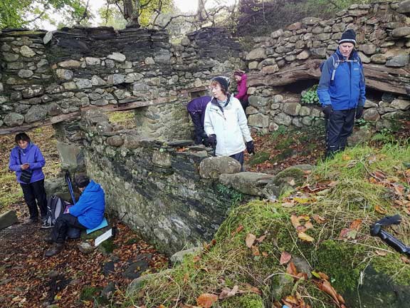 3.Glasfryn Circular
21/10/21. Investigators. Photo: Megan Mentzoni.
Keywords: Oct21 Thursday Kath Mair