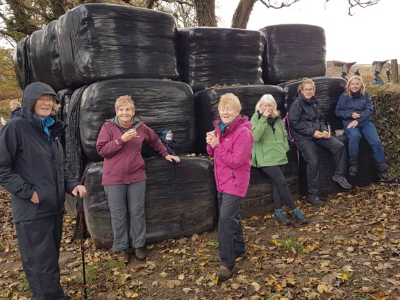 3.Llanbedrog Circular
11/11/21. The Club's answer to the Land Army girls on a lunch break. Photo: Megan Mentzoni.
Keywords: Nov21 Thursday Miriam Heald