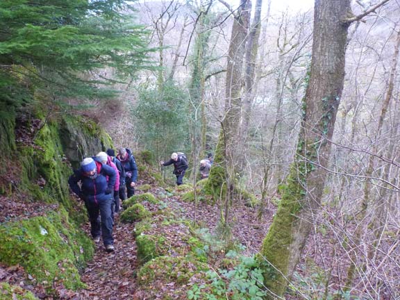 2.Mawddach - Llyn Gwernan
5/12/21. Following the path through the Abergwynant Woods.
Keywords: Dec21 Sunday Hugh Evans