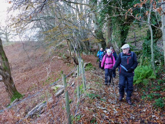 5.Mawddach - Llyn Gwernan
5/12/21. Half a mile but 290ft of descent to Dolgellau. The town is spread out down to the left.
Keywords: Dec21 Sunday Hugh Evans